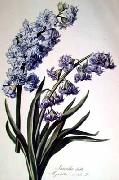 Cornelis van Spaendonck Prints Hyacinth oil painting artist